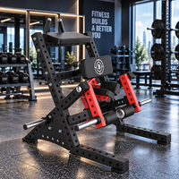 Machine de musculation à charge libre pour soulevé de genoux BN Wholesale, idéale pour la musculation et les salles de fitness