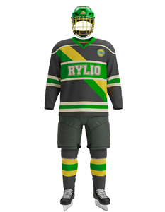 Uniforme de hockey sobre hielo al por mayor para hombres, conjunto de Jersey y pantalones con logotipo de equipo personalizado, tela de alta calidad diseñada para entrenamiento de equipos de adultos - Product Image 2