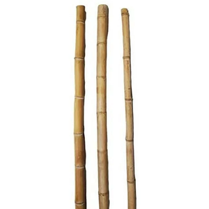 Varas de Bambú Secas 100% Naturales al por Mayor con Antiséptico, Tamaño Personalizado, Hechas en Vietnam - Product Image 1