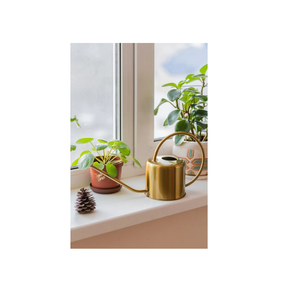 โรงงานผู้ผลิตเหล็กชุบสังกะสีน้ําสามารถออกแบบที่กําหนดเองทําด้วยมือที่ดีที่สุดน้ําสามารถต่ําราคาอุปกรณ์สวนรดน้ํา - Product Image 1