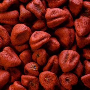 Premium 100% Pure Annatto Seeds Pigments naturels de haute qualité Direct Vietnam Farms for Food Processing Export Grade Agriculture - Product Image 1