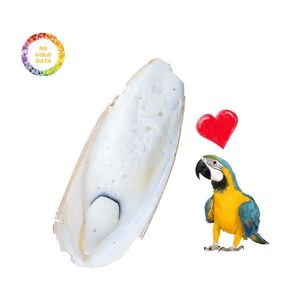 Os de seiche séché pour l'alimentation des oiseaux en vente de haute qualité à prix compétitif fabriqué au Vietnam - Product Image 1