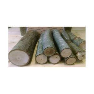 53. South Africa Pine Beech <b>Wood</b> Lumber Hot <b>Sale</b> Timber <b>Wood</b> <b>Logs</b> Factory Supply Oak Beech Hot Selling Product - Product Image 1