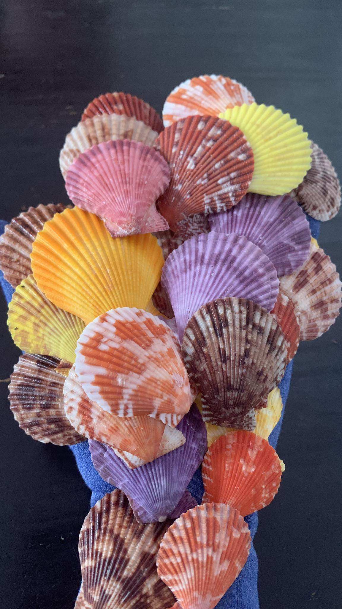 ธรรมชาติ