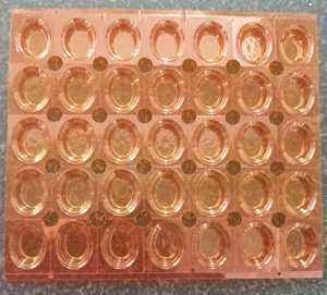 Bandejas de blíster médicas de barrera extra alta Envasado de alimentos redondo de muchos colores para almacenamiento Hecho de plástico o PVDC - Product Image 5