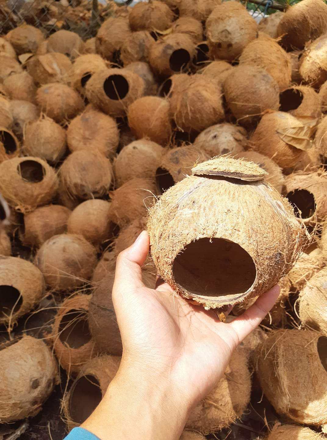 ธรรมชาติ