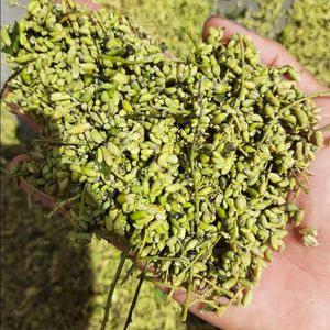 Thé aux Bourgeons de Sophora Japonica Séchés Naturels pour la Vente au Détail, OEM et Marque Privée - Product Image 1