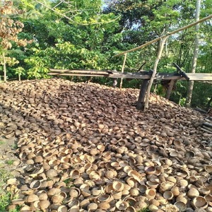 Portavelas de cáscaras de coco naturales de primera calidad Diseño impermeable Artesanía de bricolaje-Suministro rápido al por mayor ¡Compre ahora! - Product Image 6