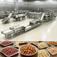 Équipement industriel automatique pour la fabrication de snacks d'arachides enrobés, pour le revêtement, la torréfaction, l'assaisonnement et la production d'arachides.
