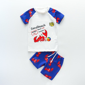 Maillot de bain deux pièces à séchage rapide pour enfants, imprimé animal, pour garçons de 3 à 9 ans - Product Image 6