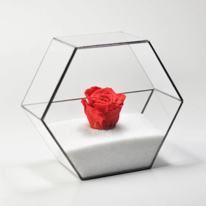 Hecho a mano moderno diseño nórdico vidrio templado terrario geométrico jarrón de cristal Vintage hogar jardín boda decoración del suelo - Product Image 1