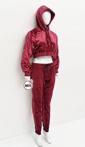 Vente en gros de costume en velours de mode de haute qualité pour les femmes, ensemble de jogging à capuche, survêtement en velours, ensemble de velours personnalisé doux - Product Image 3
