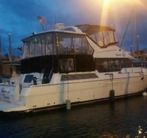 เรือยอชท์มอเตอร์ 1995 B-a-y-l-i-n-e-r 4587 C-o-c-k-p-i-t - Product Image 2