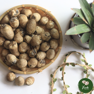 CHAMPIGNONS DE PAILLE EN CONSERVE DE HAUTE QUALITÉ ET DE BON PRIX DU VIETNAM - Product Image 3