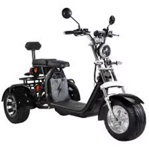 รถสกู๊ตเตอร์ไฟฟ้าสามล้อไฟฟ้า3ล้อใหม่รถมอเตอร์ไซค์วิบาก EEC City-COCO มอเตอร์ไร้แปรงถ่าน - Product Image 5