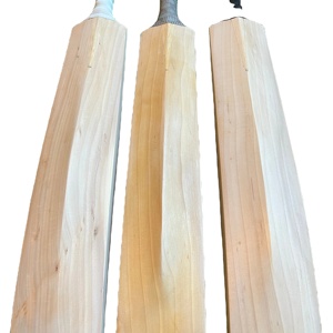 Bates de Cricket de Marca Personalizada a Bajo Precio con Logotipo Personalizado, Talla Adulto 5, Funda Gratis, OEM - Product Image 1