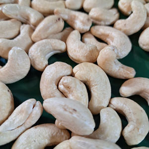 เมล็ดเม็ดมะม่วงหิมพานต์ W180สั้น W180แซนติโก Kaju badam ราคาถูก - Product Image 1