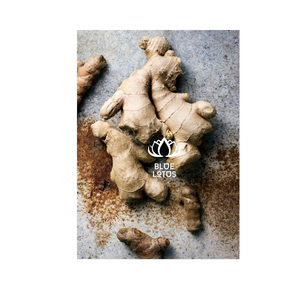 รากขิงสดจากดอกบัวสีฟ้าเวียดนาม - Product Image 1