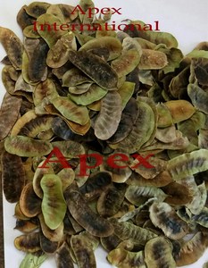 Vainas secas Senna exportador a granel de vainas secas Senna, vainas Senna T-cut, polvo Senna Pods - Product Image 1