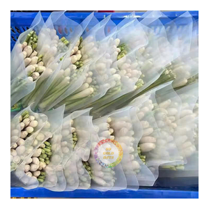 Qualité supérieure Bon goût Citronnelle congelée Citronnelle fraîche IQF Nouvelle arrivée Type de culture OGM-Caryln 0084935825297 - Product Image 1