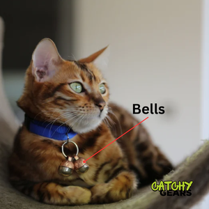 Les cloches de collier de chien bruyantes sauvent les oiseaux et la faune, collier de cloches pour chien de compagnie - Product Image 4