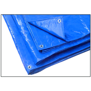 Copertura in pellicola multifunzione in polietilene blu Mt.10x12 - Product Image 1