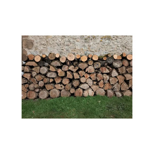 Bois de chauffage merbau de haute qualité disponible au prix d'usine pour le commerce de gros - Product Image 1