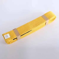 Oferta Especial: Cinturón de Jiu Jitsu, Taekwondo, Karate, BJJ, Personalizado, para Entrenamiento de Artes Marciales, 100% Algodón, Ligero