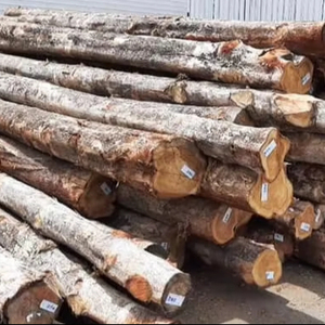 Grumes rondes en bois de teck doré séché au four-Importateur Grossiste Distributeur - Product Image 1