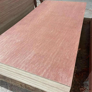 Bintangor Commercial Plywood 4mm-18mm Venta caliente en América Latina para almacenes Hoteles-Vietnam Plywood Factory HCPLY LUCYPLYWOOD" - Product Image 1