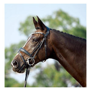 บังเหียนหนังสีดำสำหรับแข่งขี่ม้าอานาสตาเซียลูเมีย - Product Image 3