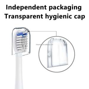 FDA Compliant <b>Round</b> Replacement Toothbrush Heads for Oral Bs Generic <b>Brush</b> Head Refills Wholesale OEM Customized Factory - Product Image 6