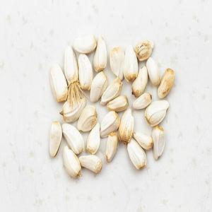 Bulk Organic Safflower Seeds Food Grade & <b>Industrial</b> Use 12-Month <b>Shelf</b> Life Ready for Immediate Shipment - Product Image 1