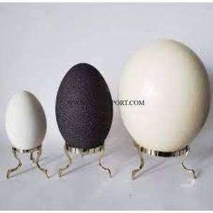Top Quality Customized Size Home Decorative Table Kitchen Egg Rack Finest New Look Fancy Designing Kitchen Egg Display Racks - Product Image 3
