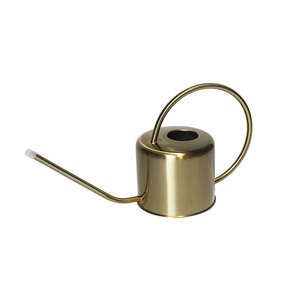 Arrosoir en métal de qualité supérieure, moderne et écologique, avec design personnalisé pour plantes vertes, fournisseur en gros - Product Image 3