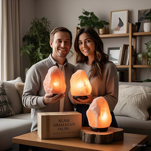 GMP รับประกันโคมไฟเกลือหิมาลัยธรรมชาติ2-3กก. สายไฟฟ้าหลอดไฟวัสดุอินทรีย์แพคเกจตกแต่งบ้านตัวอักษรรักสัตว์ - Product Image 1