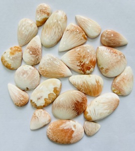 Cabochon de scolecite rose incroyable de qualité AAA pierres précieuses naturelles de différentes tailles pour la fabrication de bijoux concepteur de pierres précieuses conçues - Product Image 1