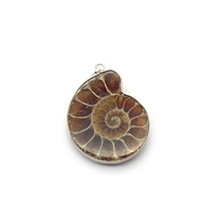 Collier pendentif en fossile d'ammonite naturelle, style vintage unisexe, bijoux de plage uniques, cadeau pour femmes et hommes