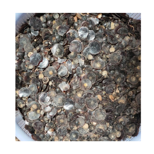 เปลือกหอยใหญ่ใหญ่เปลือกศิลปะจากเวียดนาม - Product Image 6