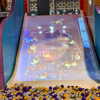 Tobogán Comercial Personalizado para Niños y Adultos, Proyección Láser HD Interactiva, Equipo de Juegos con Interacción Táctil