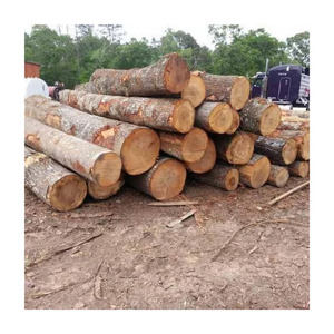 Bois de chauffage en teck africain disponible pour le commerce de gros et les projets énergétiques industriels - Product Image 1