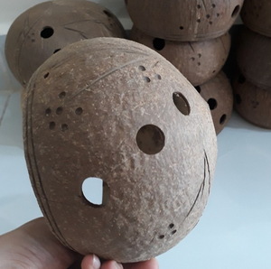 Maceta de coco ecológica con cáscara de coco natural 100% para macetas para colgar macetas de flores - Product Image 2