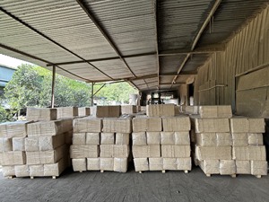 Virutas de pino de primera calidad para ropa de cama de aserrín para caballos - Product Image 2