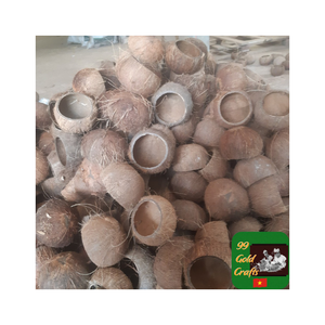 La livraison directe d'usine de coquille de noix de coco pour le charbon de bois utilise des travaux d'artisanat créatifs et des applications décoratives distinctives de jardin à la maison - Product Image 6