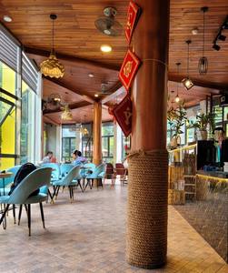 Cesta colgante de cuerda de coco de alta calidad del fabricante vietnamita Estilo vintage Producto de jardín para el hogar más vendido - Product Image 6