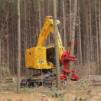 Buncher cingolato certificato feller XT465L-5