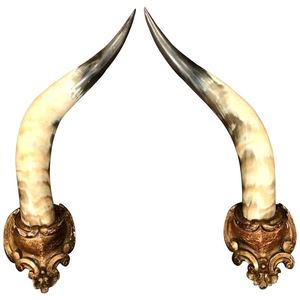 Cuerno de búfalo hecho a mano, arte de pared rústico único, artesanía Natural pulida, cuerno de vaca montado en la pared, Animal NÁUTICO DE LA India - Product Image 1