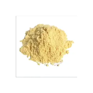 Plant Protein Corn Gluten Meal 60% For Chicken Feed/New Product Corn Poultry Feed Meal Expert