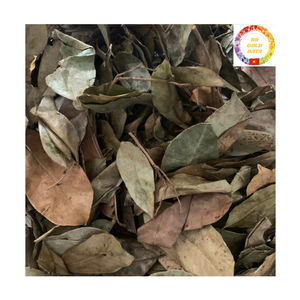 Feuilles de Graviola séchées de qualité supérieure en provenance du Vietnam, feuilles de corossol pour infusion - Product Image 5