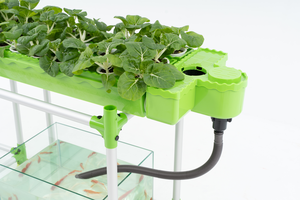 Aquaponics กลางแจ้งการเลี้ยงปลาและระบบไฮโดรโปนิกส์ชุดชั้นเดียวสองชั้นขนาดใหญ่ - Product Image 5